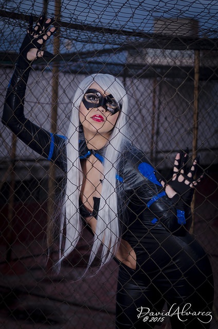 Cosplay - Black Cat - Spiderman