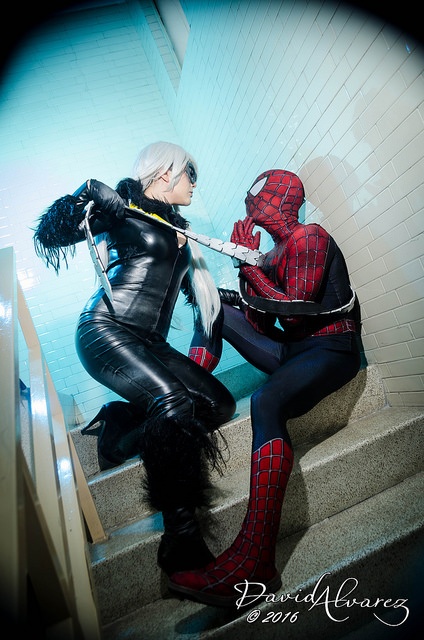 Cosplay - Black Cat vs Spiderman