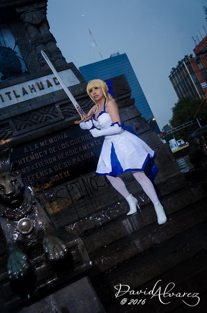 Cosplay - Saber Lily - Fate/Unlimited Codes