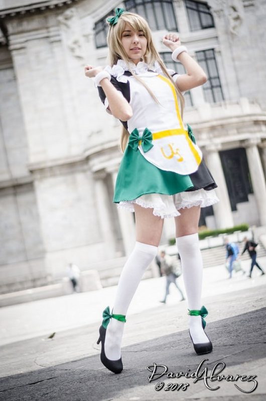 Kotori Minami – Love Live